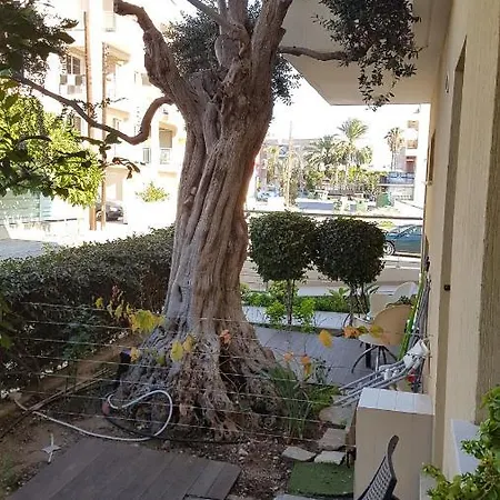 Kerynia Paphos