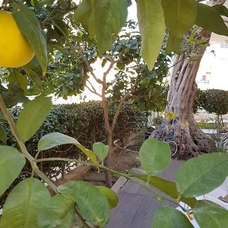 Kerynia Paphos